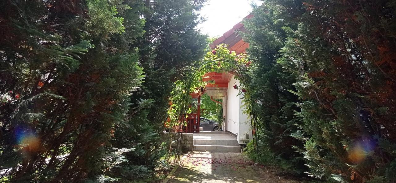 Robitel Wellness Vendeghaz Veszprem-Gyulafiratot Hotel Luaran gambar